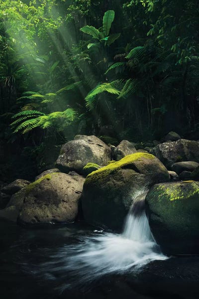 Ponds: Mystic Spot by Stefan Hefele