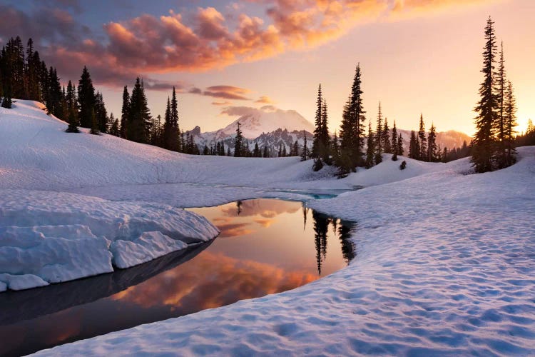 America The Beautiful - Mount Rainier