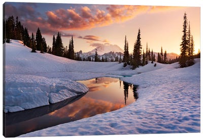 America The Beautiful - Mount Rainier Canvas Art Print - Washington