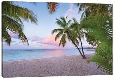 Palm Beach, Caribbean Canvas Art Print - Scenic & Landscape Art