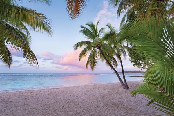 Stefan Hefele: Palm Beach, Caribbean by Stefan Hefele