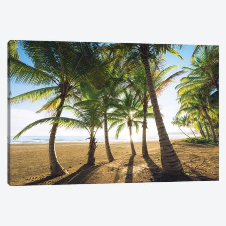Palm Island, Puerto Rico Canvas Print #STF123} by Stefan Hefele Canvas Art Print