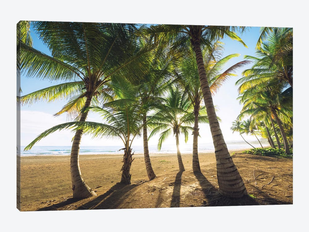 Palm Island, Puerto Rico by Stefan Hefele 1-piece Canvas Art Print