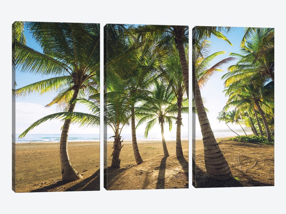 Palm Island, Puerto Rico by Stefan Hefele 3-piece Canvas Art Print