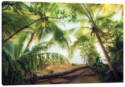 Pirate's Hideout, Caribbean Canvas Art Print - Palm Tree Art