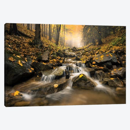 Realm Of Illusions Canvas Print #STF134} by Stefan Hefele Canvas Print