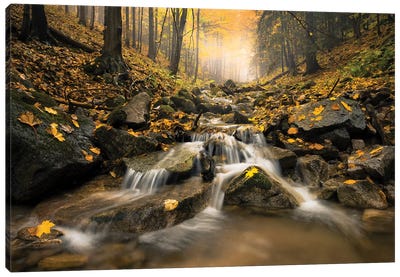 Realm Of Illusions Canvas Art Print - Stefan Hefele