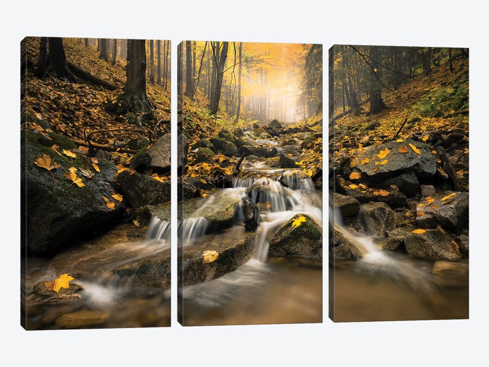 Realm Of Illusions by Stefan Hefele 3-piece Canvas Print