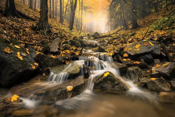 Lakes: Realm Of Illusions by Stefan Hefele