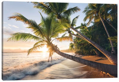 Secret Beach, Caribbean Canvas Art Print - Coastal Scenic Photography