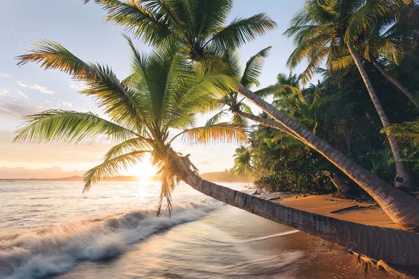 Tropical Beaches: Secret Beach, Caribbean by Stefan Hefele