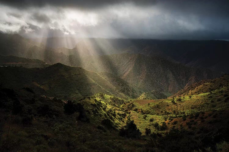 The Beginning by Stefan Hefele wall art