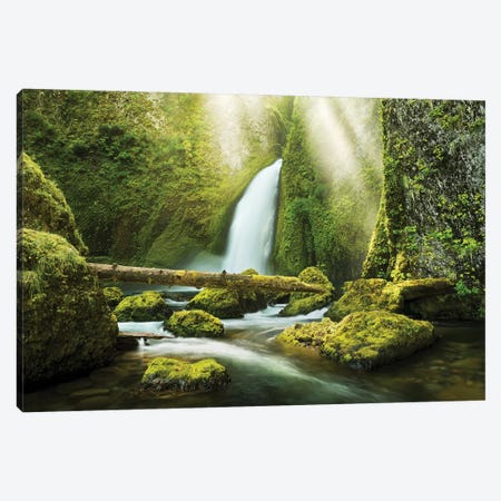 The Creation Canvas Print #STF155} by Stefan Hefele Canvas Art Print