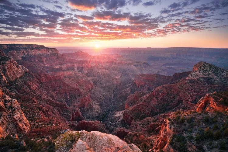 The Grand Canyon by Stefan Hefele wall art