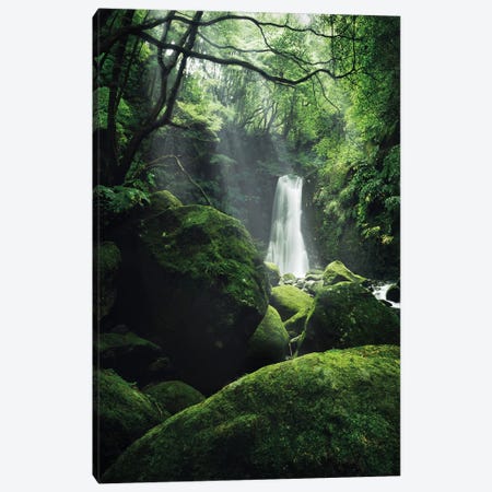 The Luscious Grotto Canvas Print #STF167} by Stefan Hefele Canvas Art
