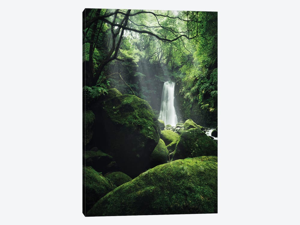 The Luscious Grotto by Stefan Hefele 1-piece Canvas Art Print