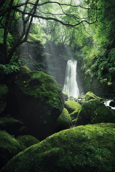 Waterfalls: The Luscious Grotto by Stefan Hefele