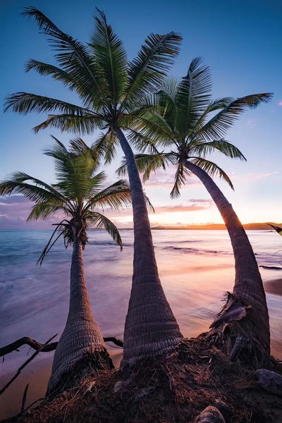 Tropical Beaches: Tropical Triple - Caribbean by Stefan Hefele