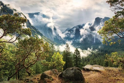 Unique Paradise - Yosemite by Stefan Hefele art print