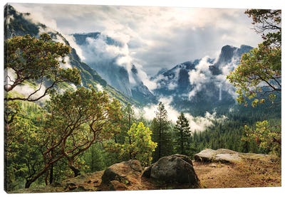 Unique Paradise - Yosemite Canvas Art Print - Valley Art