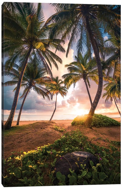 Vertical Paradise - Caribbean Canvas Art Print - Palm Tree Art