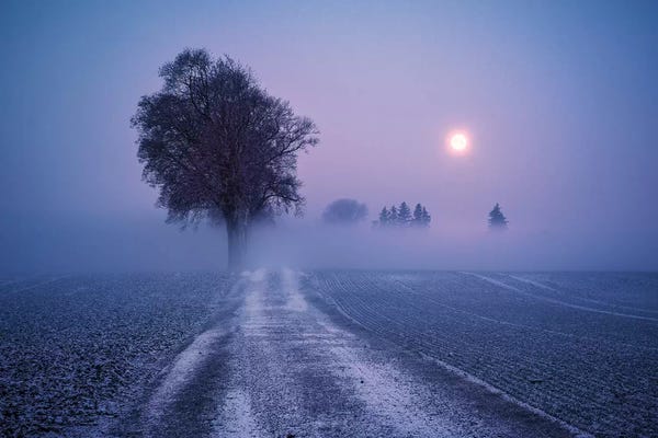 Mist & Fog: Winter Moon by Stefan Hefele