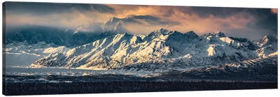 Your Majesty - Denali, Alaska Canvas Art Print - Panoramic Photography