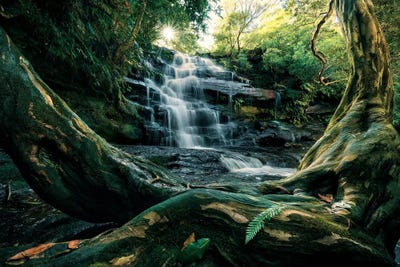 Australian Wonder by Stefan Hefele acrylic art print