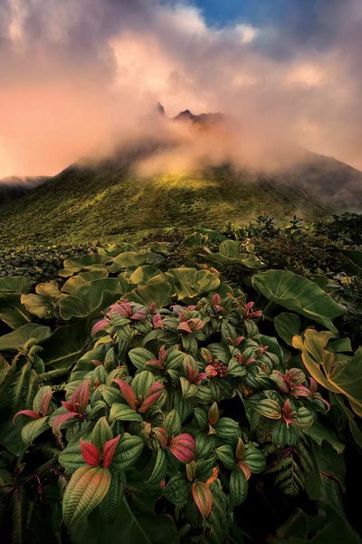 Stefan Hefele: Caribbean Volcano by Stefan Hefele