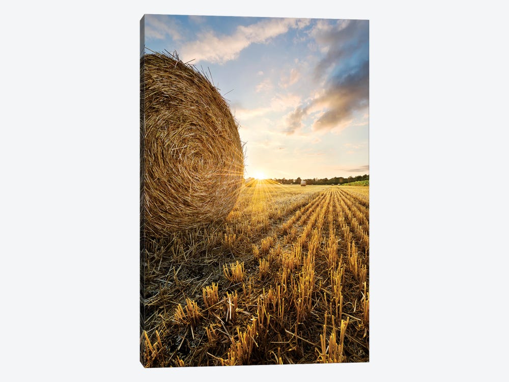 Country Gold by Stefan Hefele 1-piece Canvas Wall Art