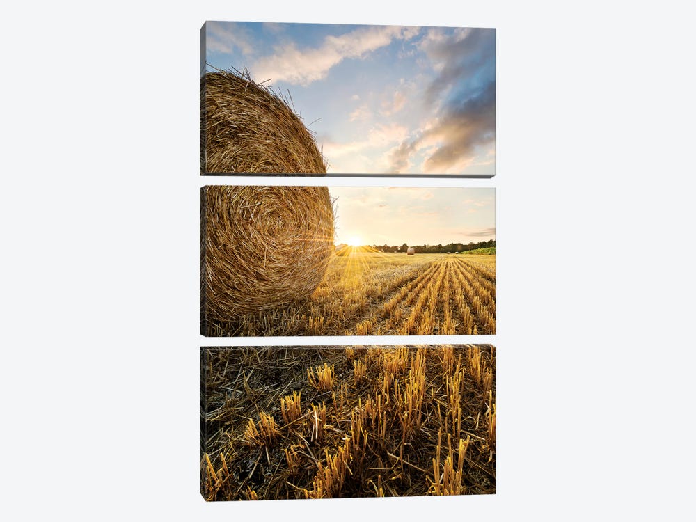 Country Gold by Stefan Hefele 3-piece Canvas Wall Art