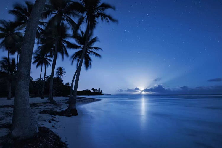 Blue Island, Caribbean by Stefan Hefele wall art