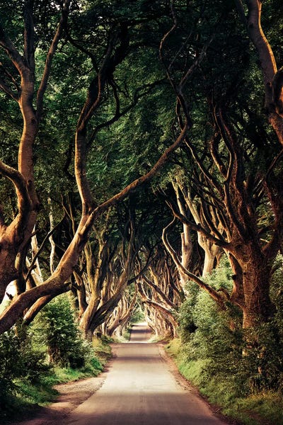 Forevenue by Stefan Hefele canvas print