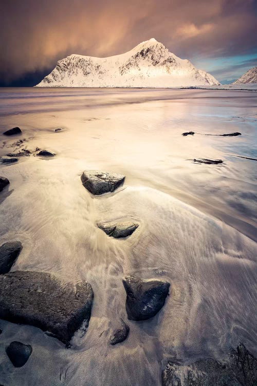 Golden Blizzard by Stefan Hefele wall art