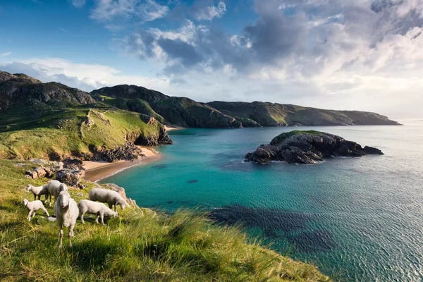 Sheep: Breathtaking Ireland by Stefan Hefele