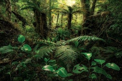 Gondwana Legends by Stefan Hefele acrylic art print