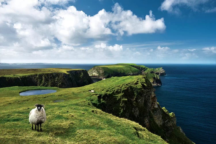 Green Ireland by Stefan Hefele wall art