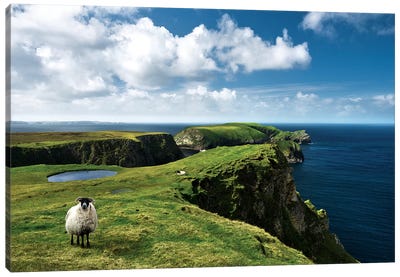 Green Ireland Canvas Art Print - Sea & Sky