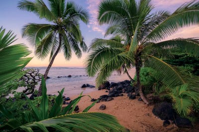 Hawaiian Dreams by Stefan Hefele canvas print