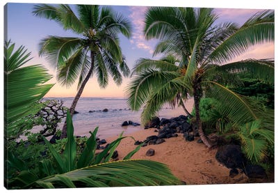 Hawaiian Dreams Canvas Art Print - Tropical Beach Art