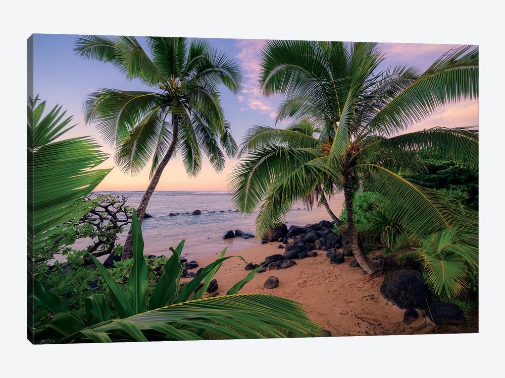 Hawaiian Dreams by Stefan Hefele 1-piece Canvas Art