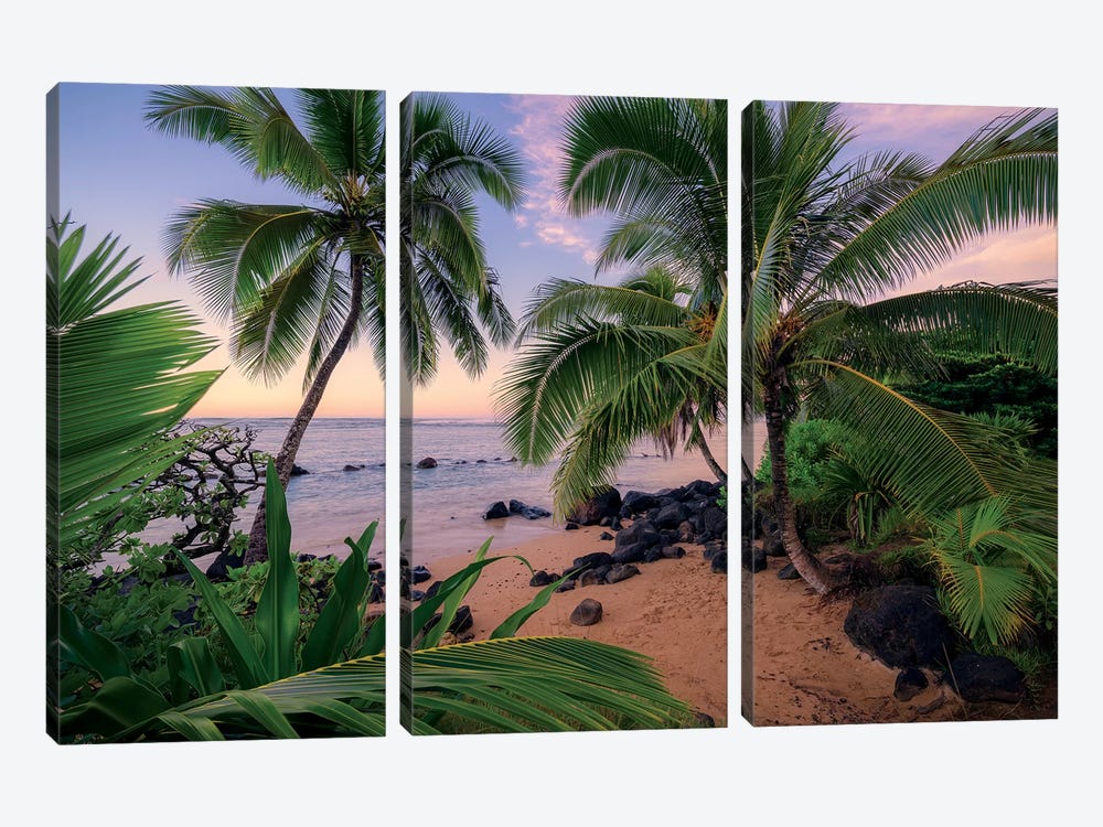 Hawaiian Dreams by Stefan Hefele 3-piece Canvas Art