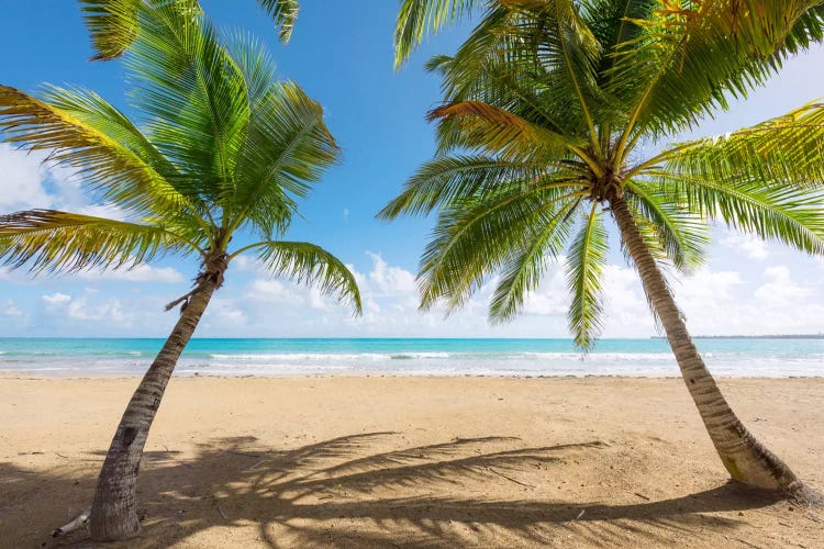 Caribbean Days - Puerto Rico II