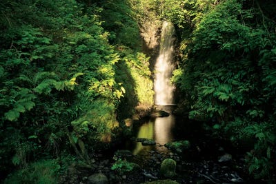 Jungelfalls by Stefan Hefele acrylic art print