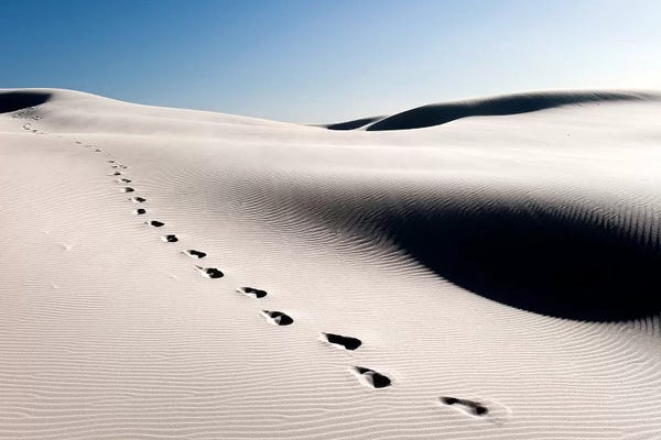 Lonely Steps