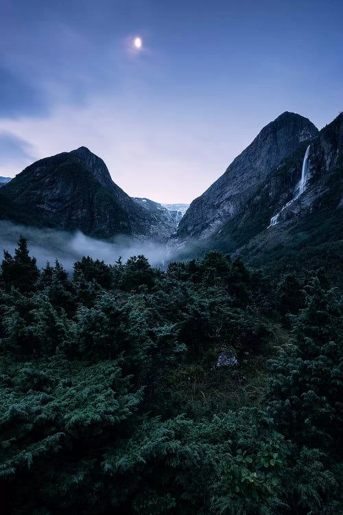 Moonaffaire by Stefan Hefele wall art