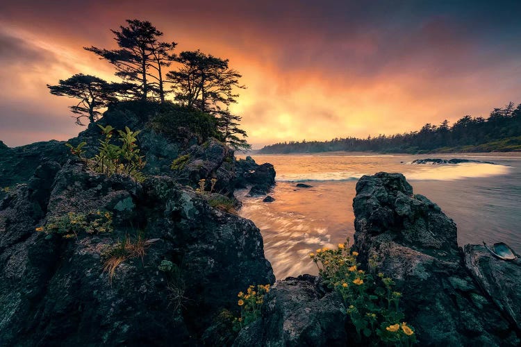 Native Lands by Stefan Hefele wall art