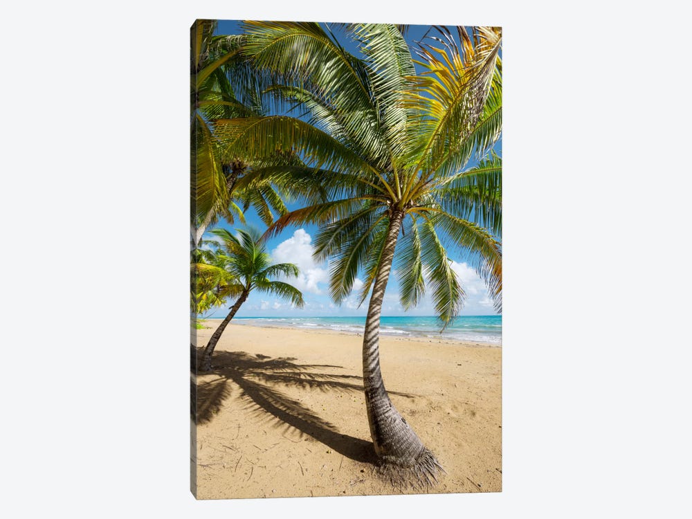 Caribbean Days - Puerto Rico III by Stefan Hefele 1-piece Canvas Print