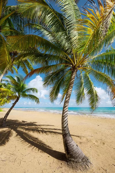 Stefan Hefele: Caribbean Days - Puerto Rico III by Stefan Hefele