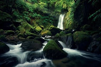 Primeval World by Stefan Hefele framed canvas print